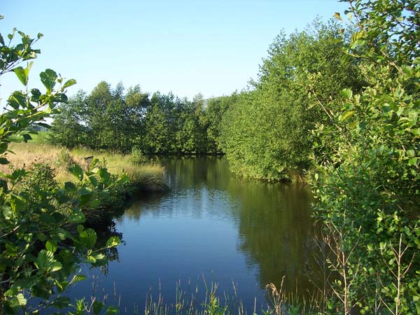 Our Private Lake In Summer | Glan Clwyd Isa